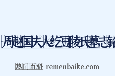 周赵国夫人纥豆陵氏墓志铭是什么意思的图片
